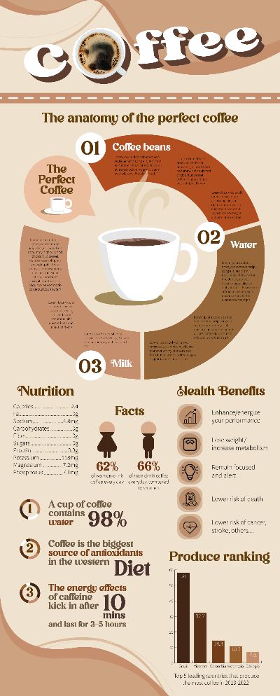 Coffee Infographic Design