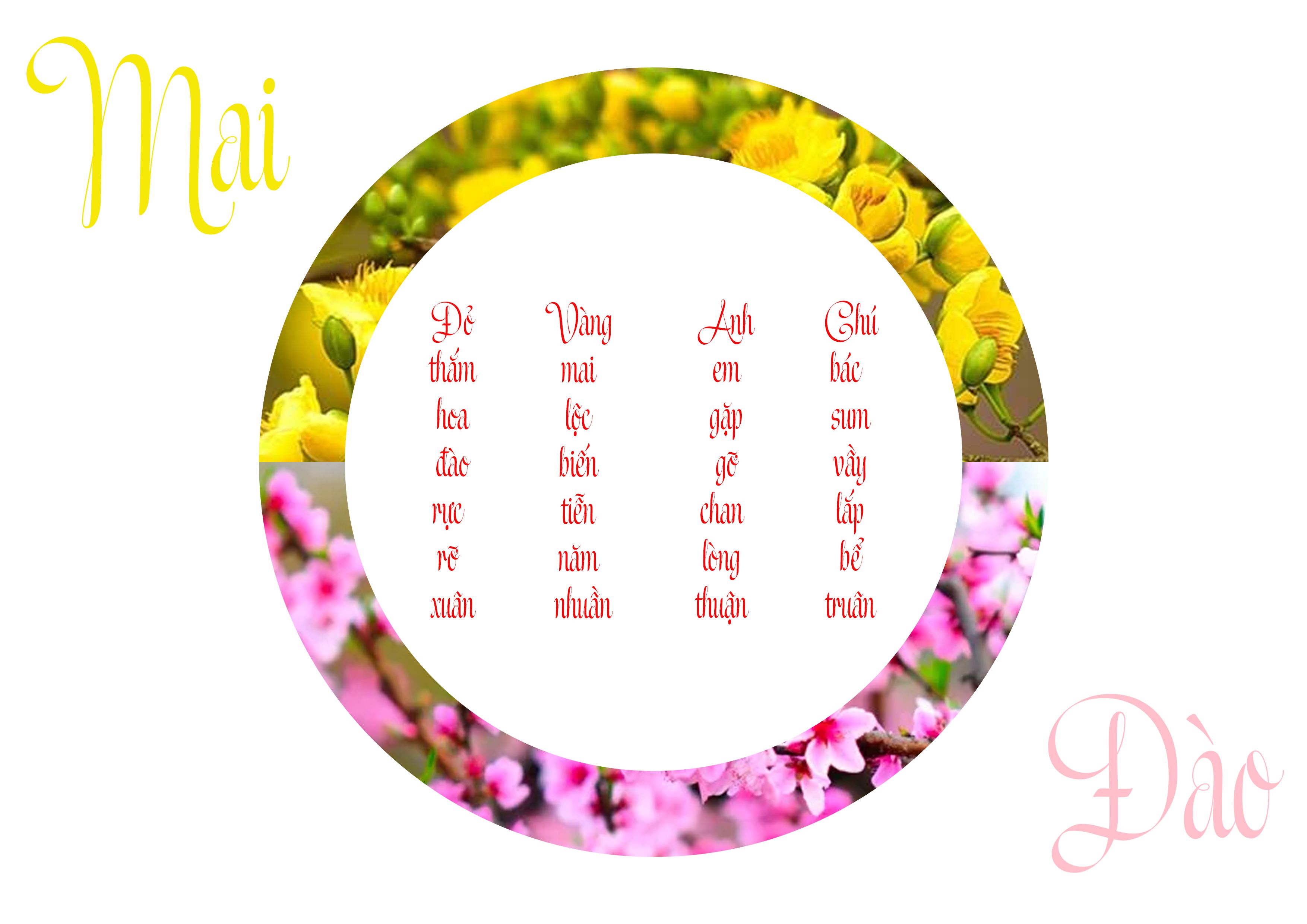 BTVN-PTS BUỔI 1,2
