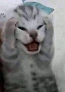 BTVN