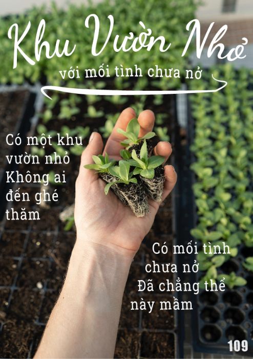Nguyễn Khánh Linh