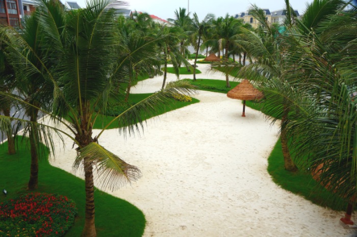 Bố cục trong nhiếp ảnh