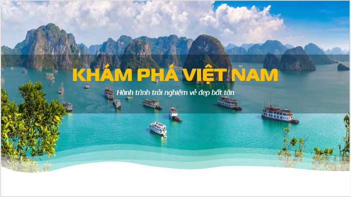 B4 - Đỗ Hải Long