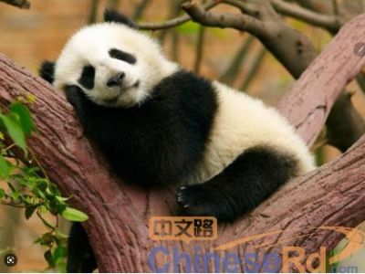 BÀI VỀ NHÀ BUỔI 2
