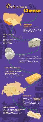 Different kinds of cheese