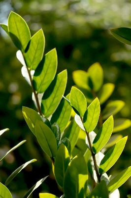 Bài tập cuối kì
