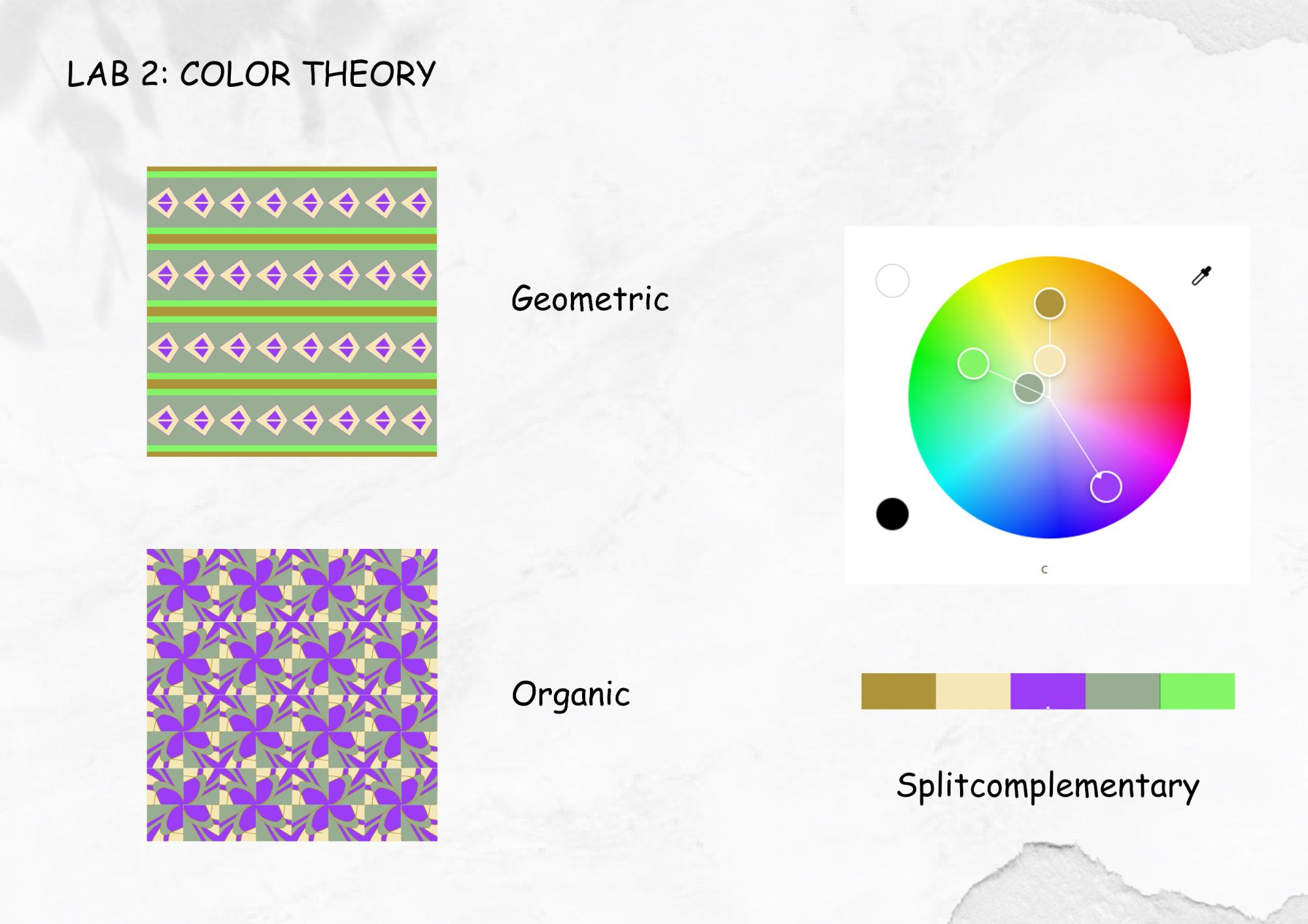 Portfolio on Color ME