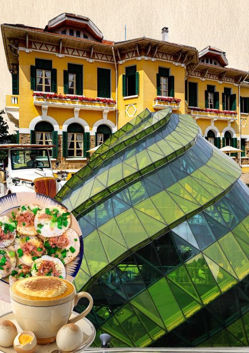 Phạm Dương Gia Hân