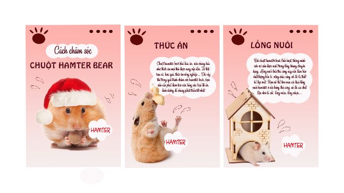 BÀI TẬP VỀ NHÀ BUỔI 2