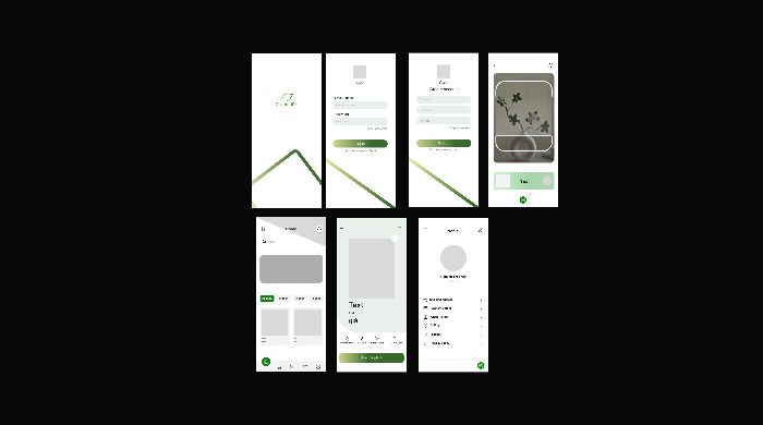 wireframe