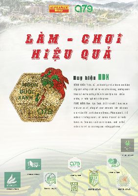 Poster huy hiệu Ngọn Đuốc Xanh A79