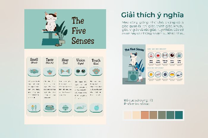 Bài tập cuối khoá