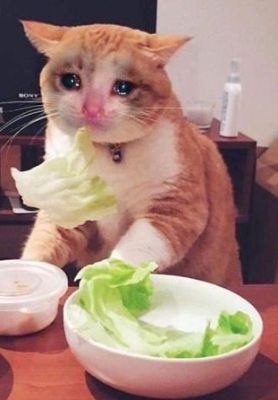 Bài cúi kì <3