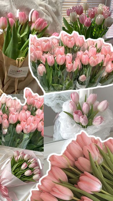 Bài tập về nhà buổi 2