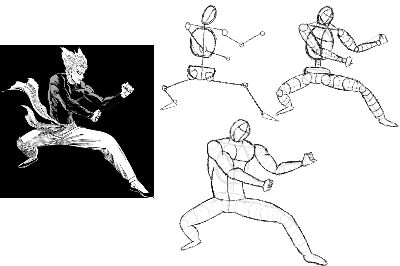 buoi 17 anatomy