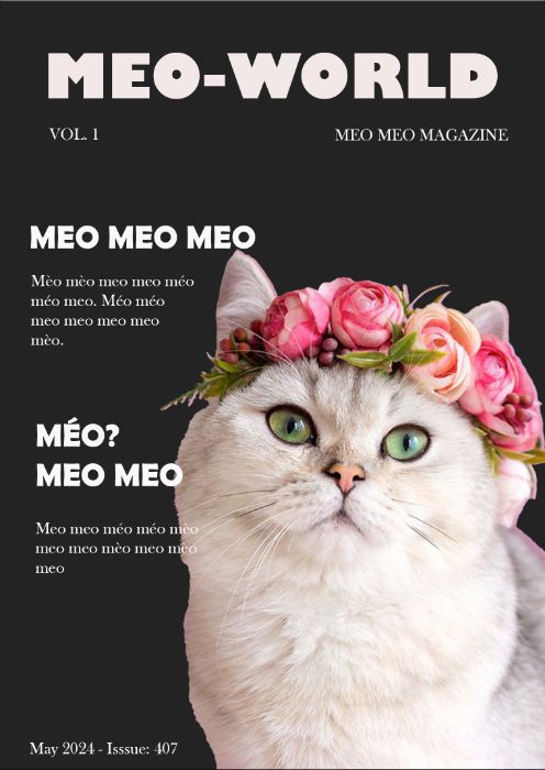 MAGAZINE COVER