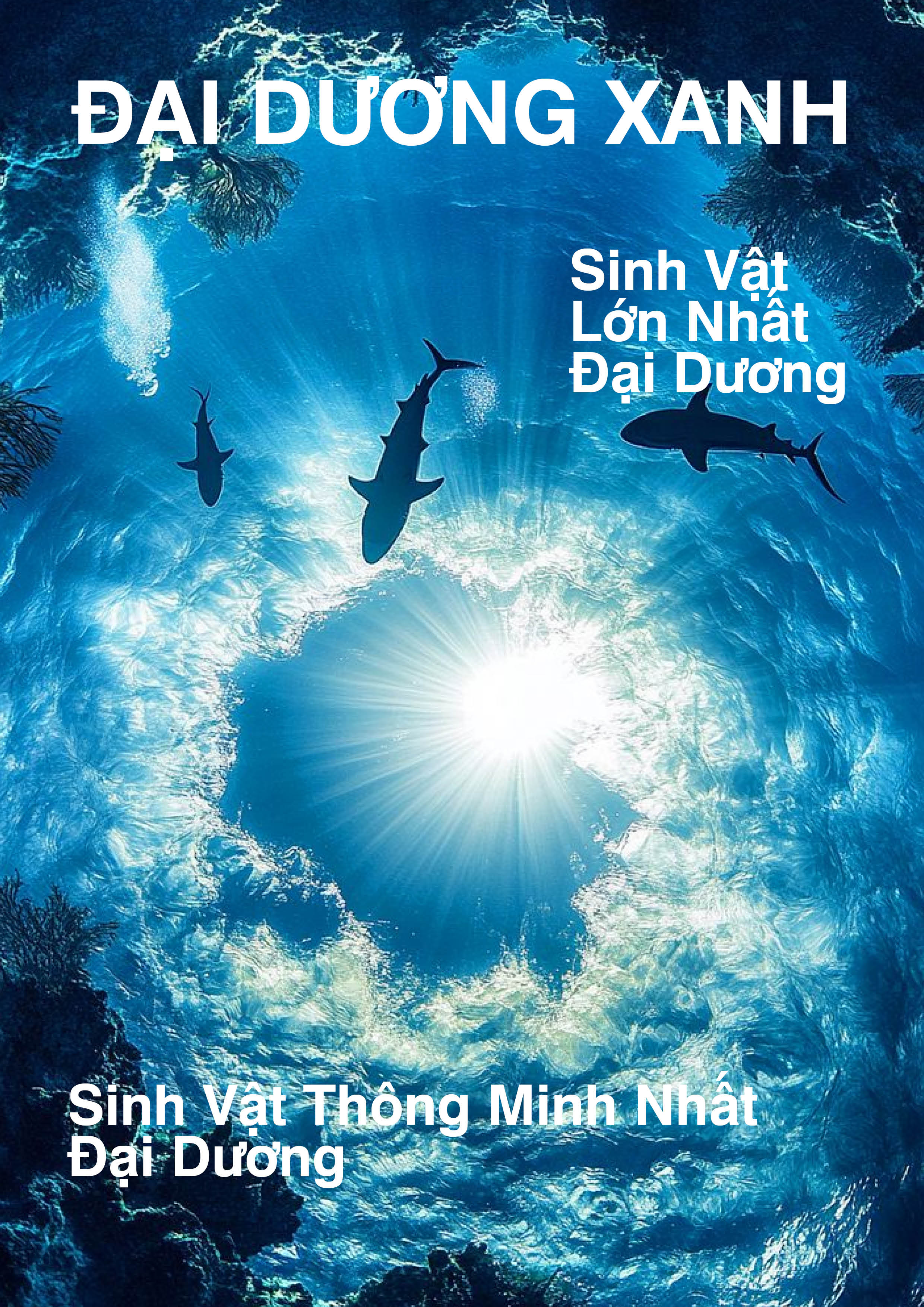 bai4