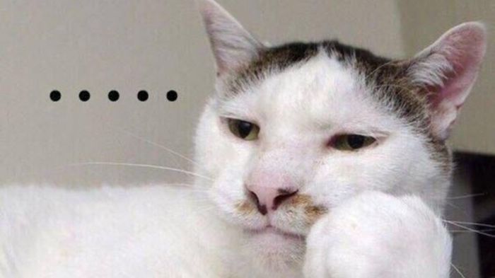 Bài của Thu Trinh