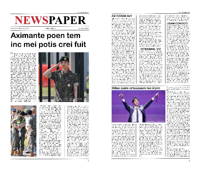 Newspaper