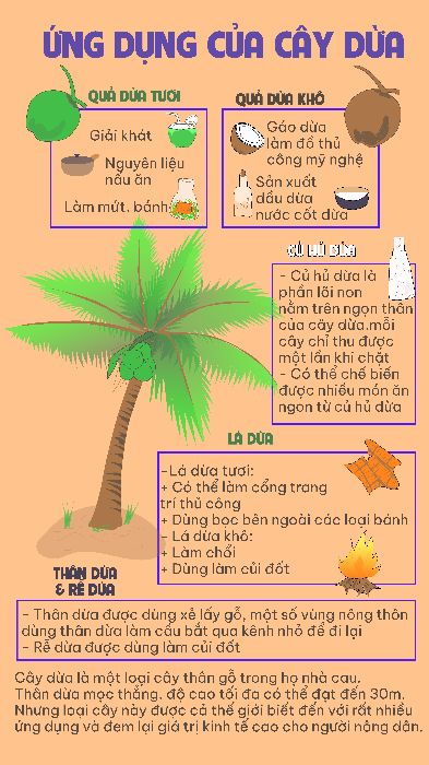 cuối kỳ