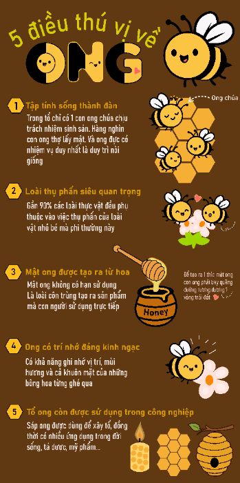 Bài tập cuối kì AI
