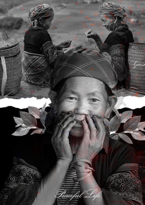 Hoa Thị Thùy Linh