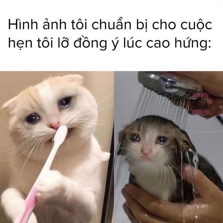 BTVN buổi 4