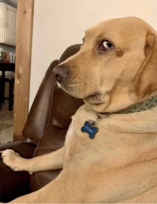 Bombastic side eye