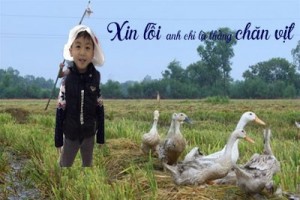 xin lỗi anh chỉ là thằng chăn vịt