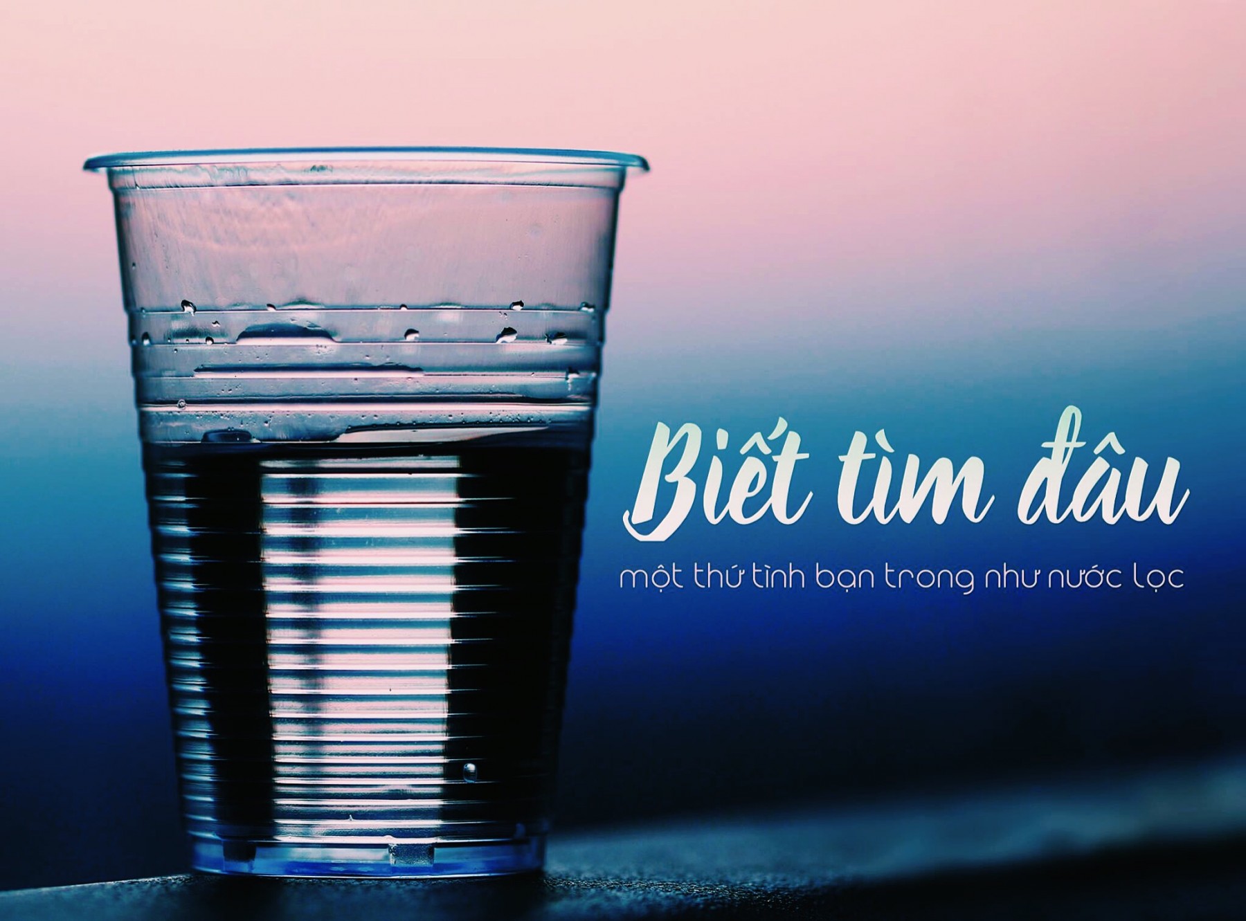 Biết tìm đâu?!