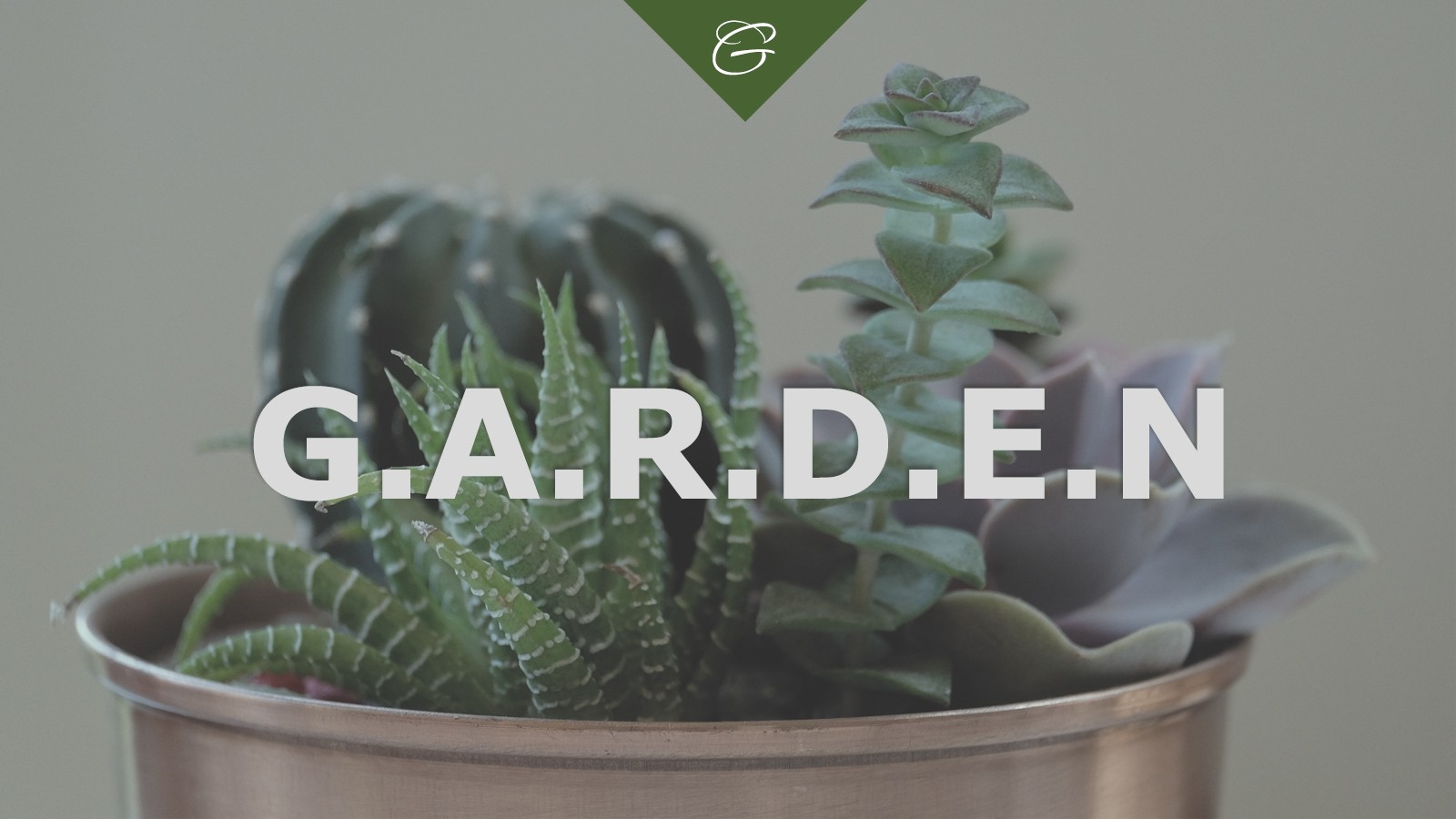 Minimal Slide Layout for plants exhibition