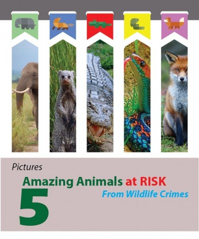love animals.