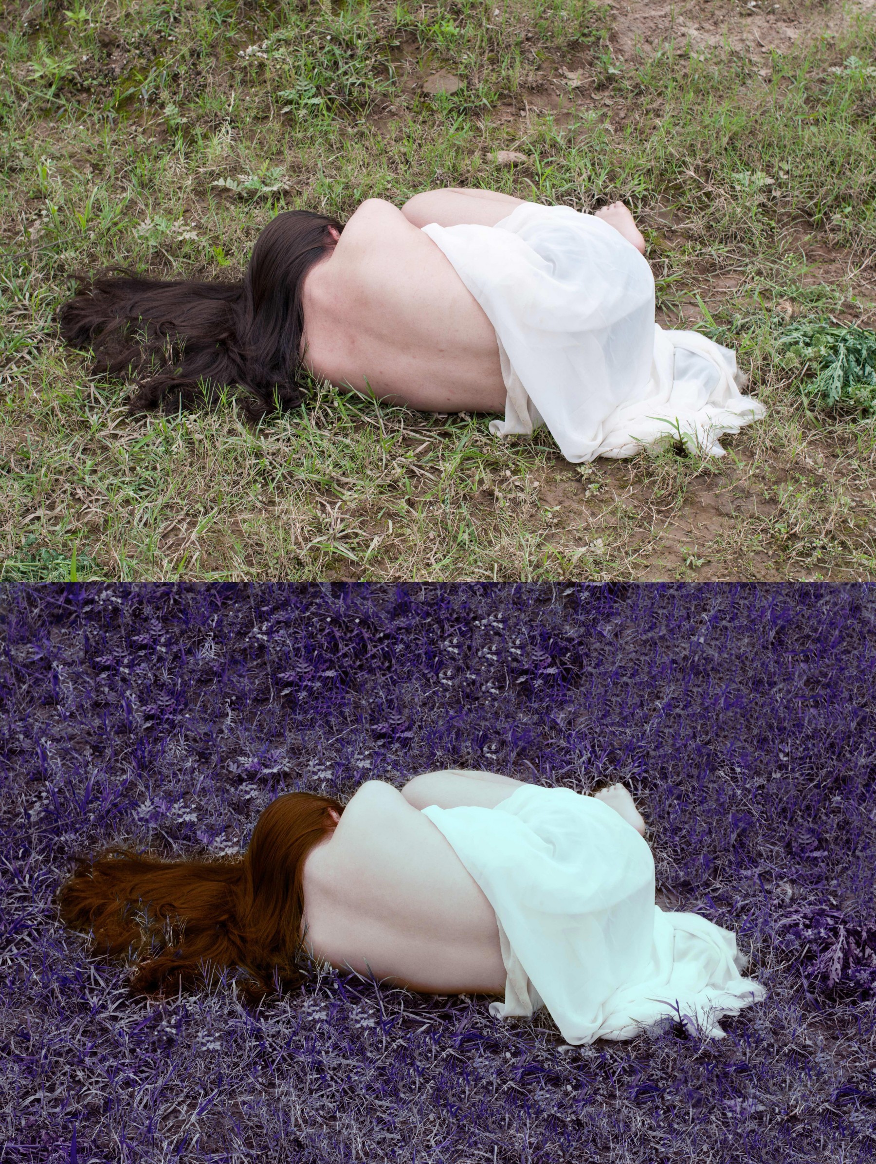 Dreamer