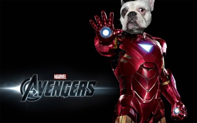 iron dog