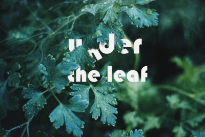 under the leaf