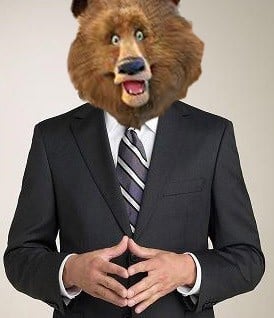 surprised suit bear