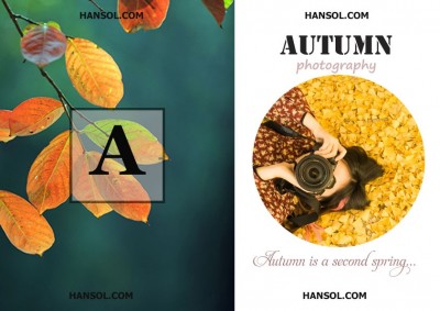 autumn is a second spring...