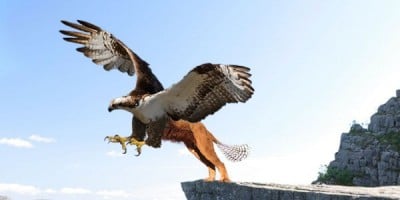 nộp bài muộn rồi á á á !