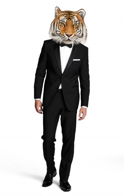 tiger man