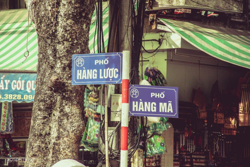 TRUNG THU VÀ CON PHỐ HÀNG MÃ