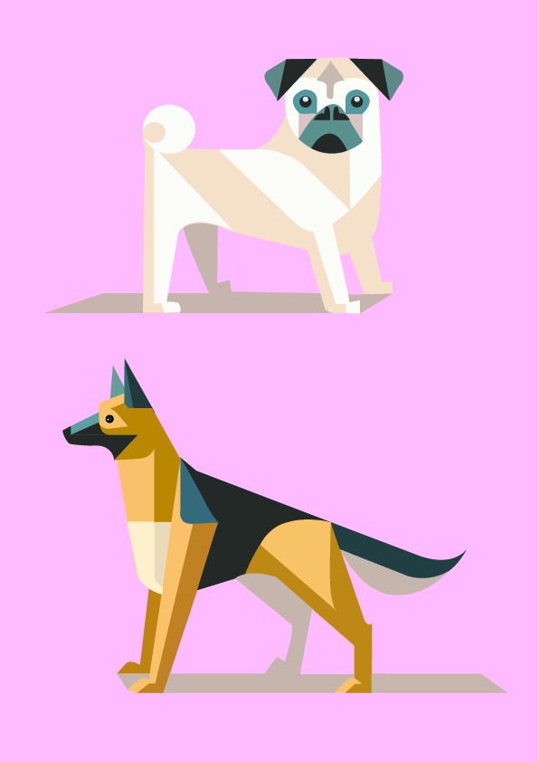 dog