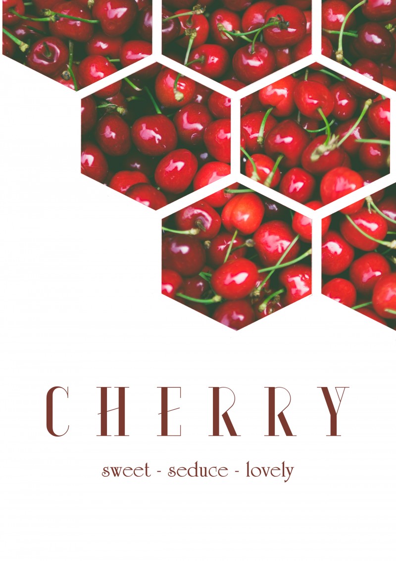 [5] CHERRY _ Zoro