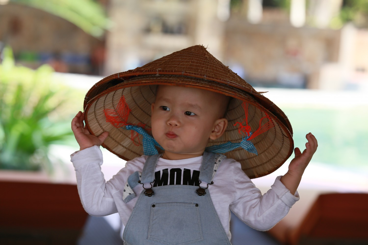 bố cục giữa