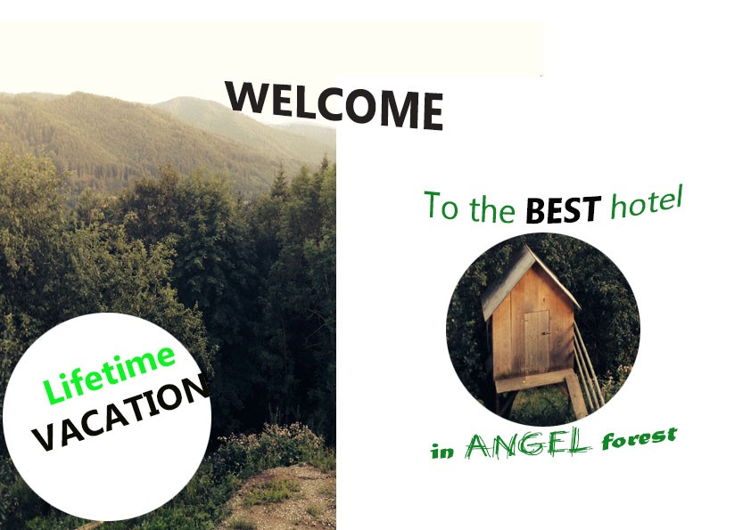 Photoshop 18.6 Thực hành Layout