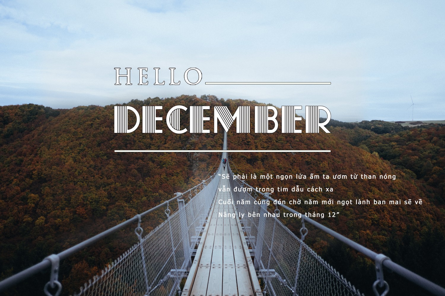 December _ ZORO