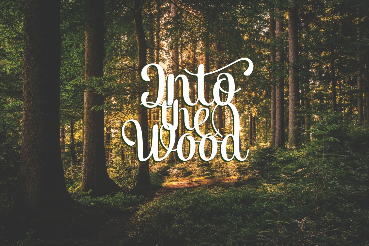 IntoTheWood