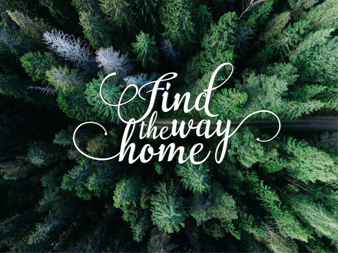 Home