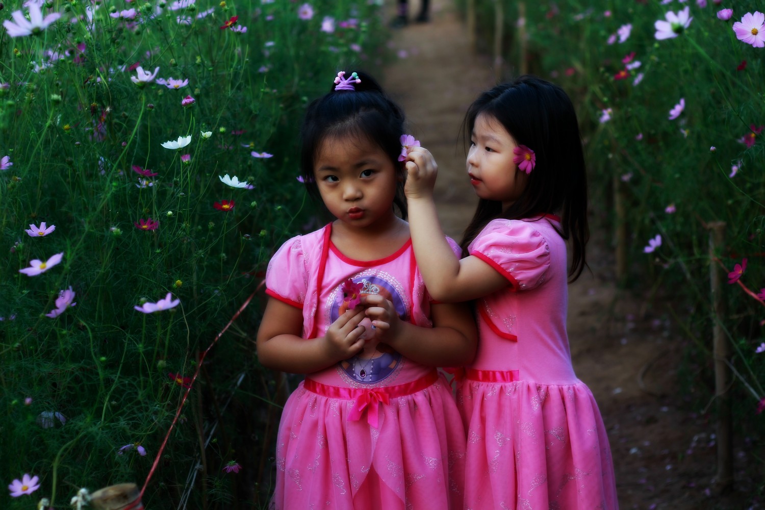 Pt 18.4 Buổi cuối