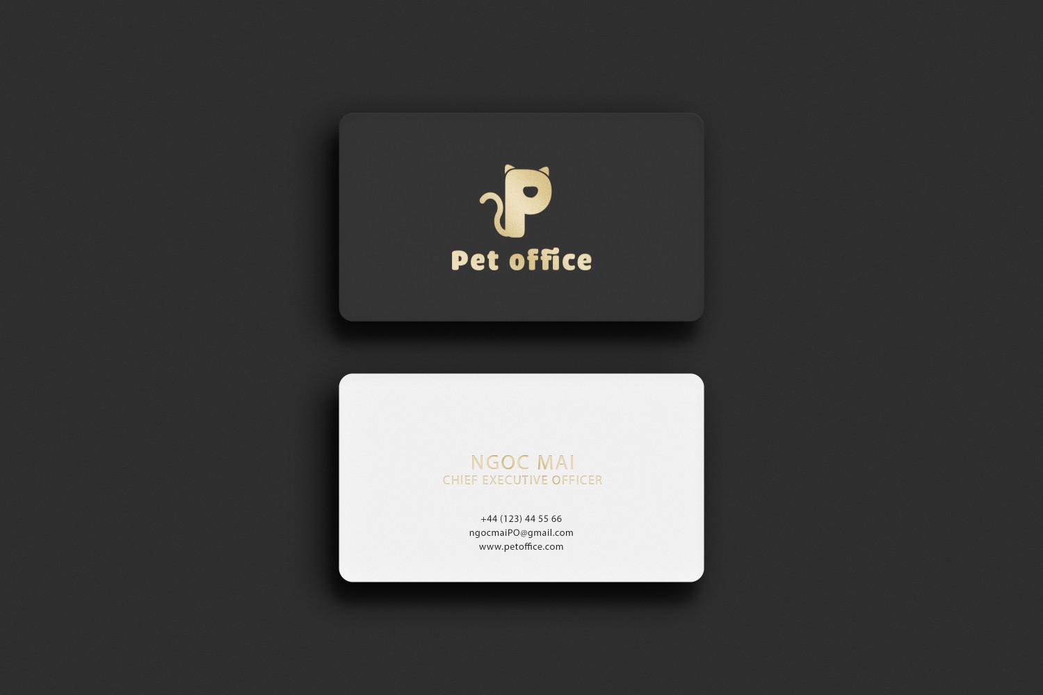 [Ai 18.3] Pet Office - Logo guideline