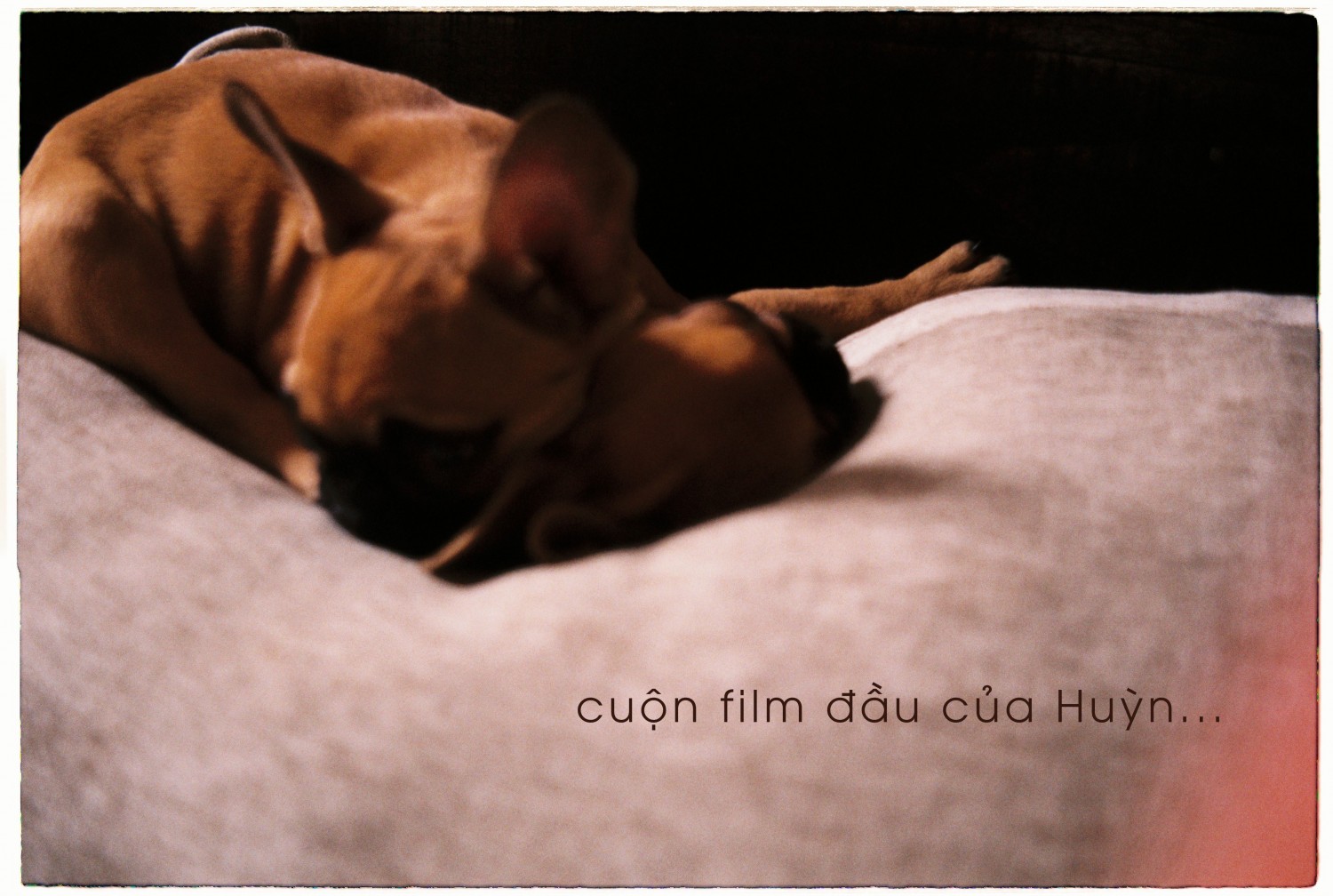 Cuộn Film đầu của Huỳn ^^