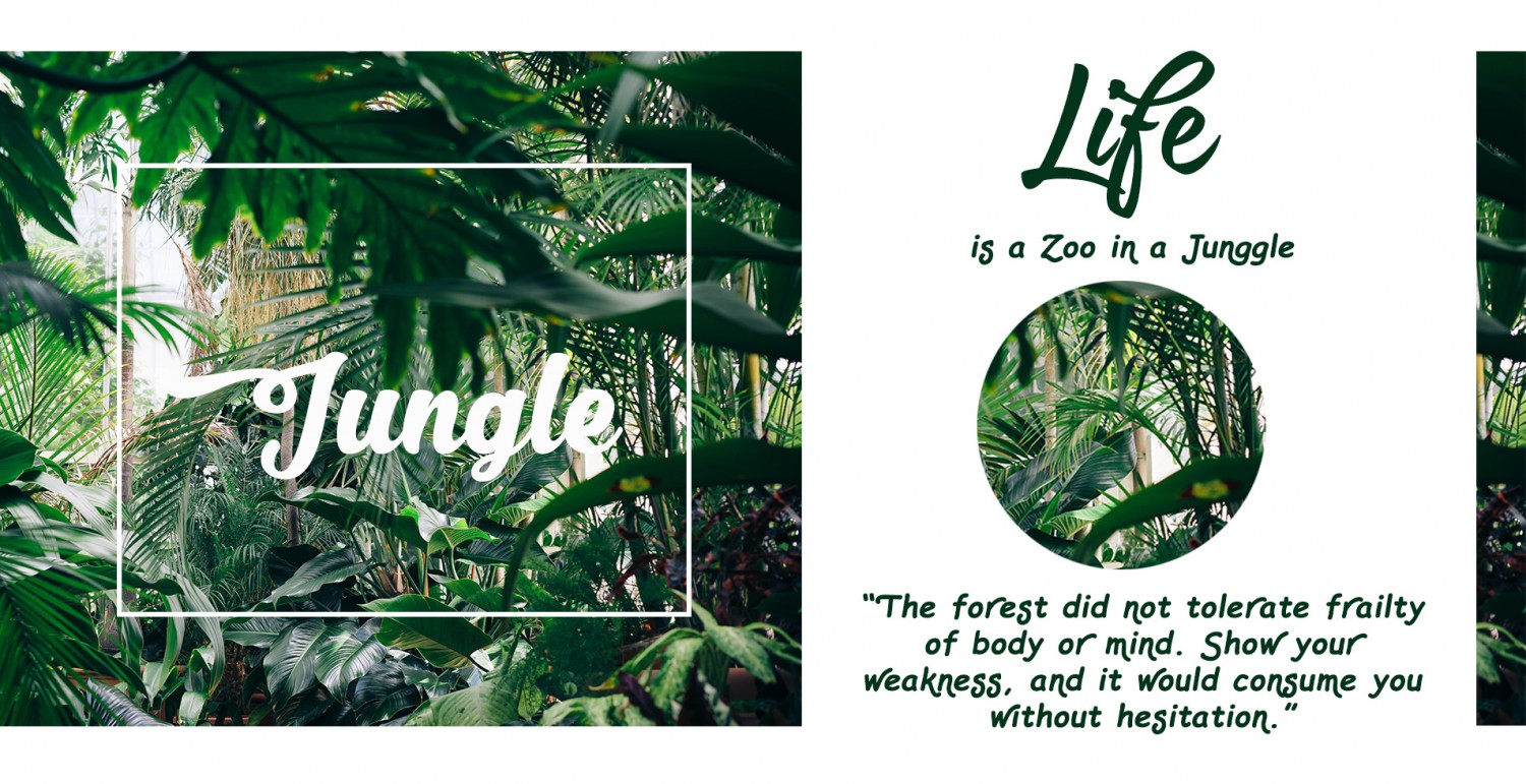 Jungle